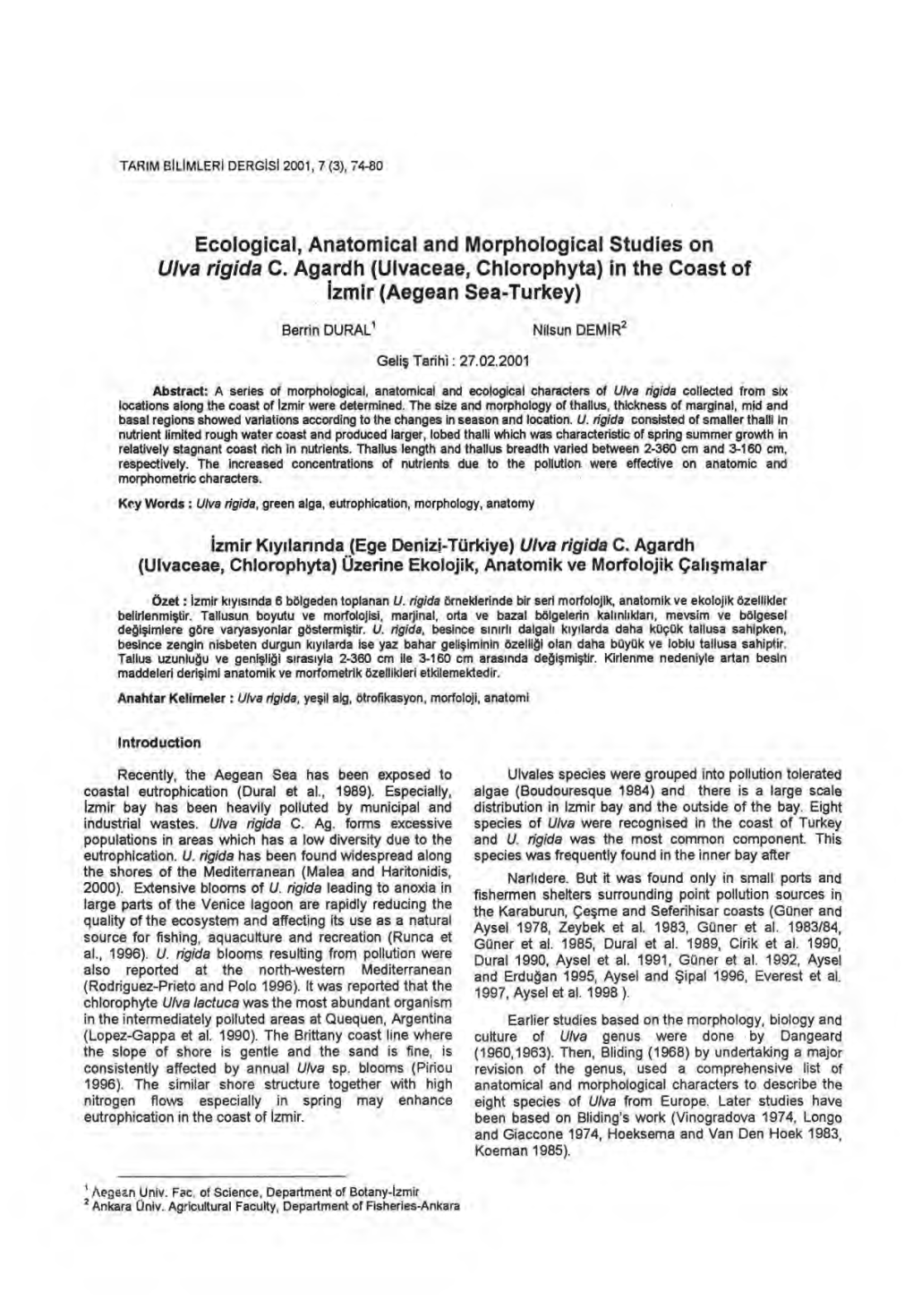 Ecological, Anatomical and Morphological Studies on Ulva Rigida C