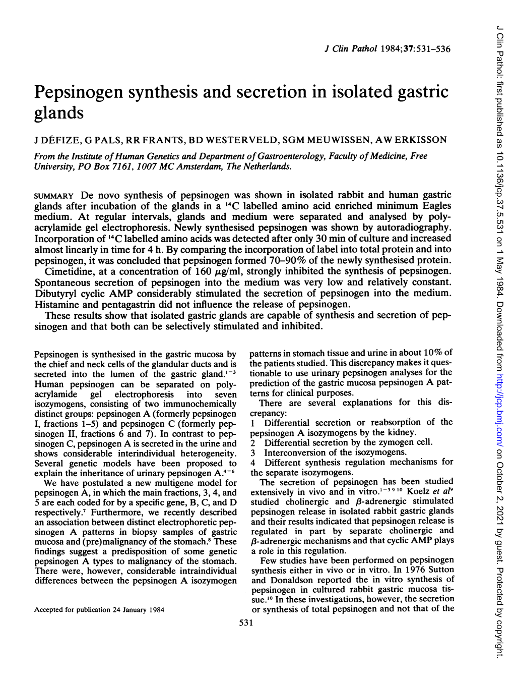 Pepsinogen Synthesis and Secretion in Isolated Gastric Glands