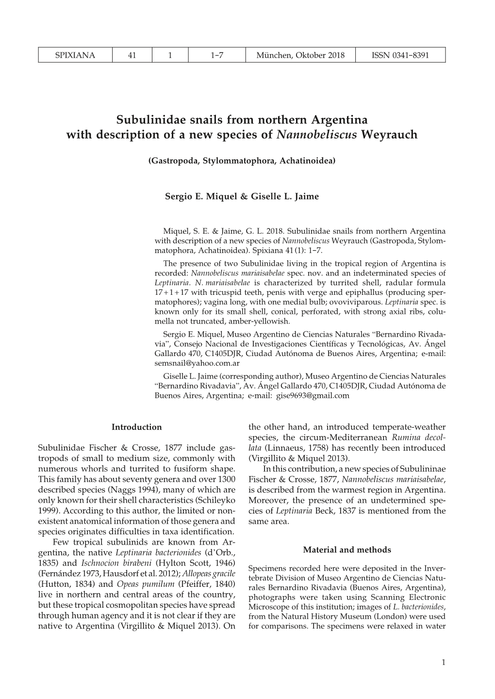 Subulinidae Snails from Northern Argentina with Description of a New Species of Nannobeliscus Weyrauch