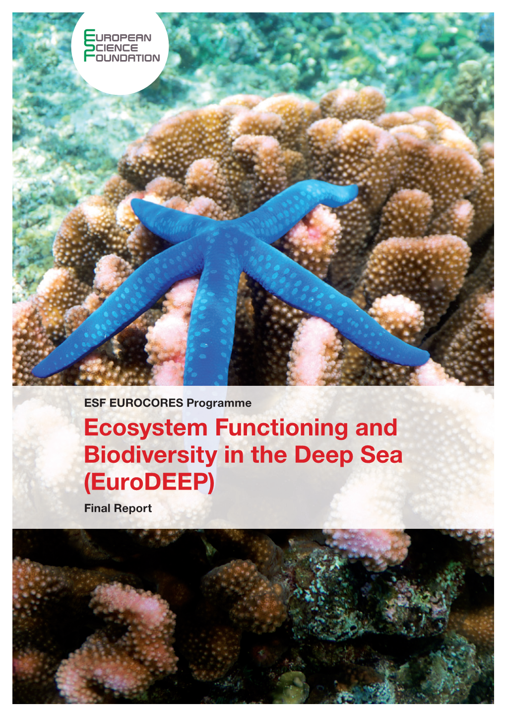 Ecosystem Functioning and Biodiversity in the Deep Sea