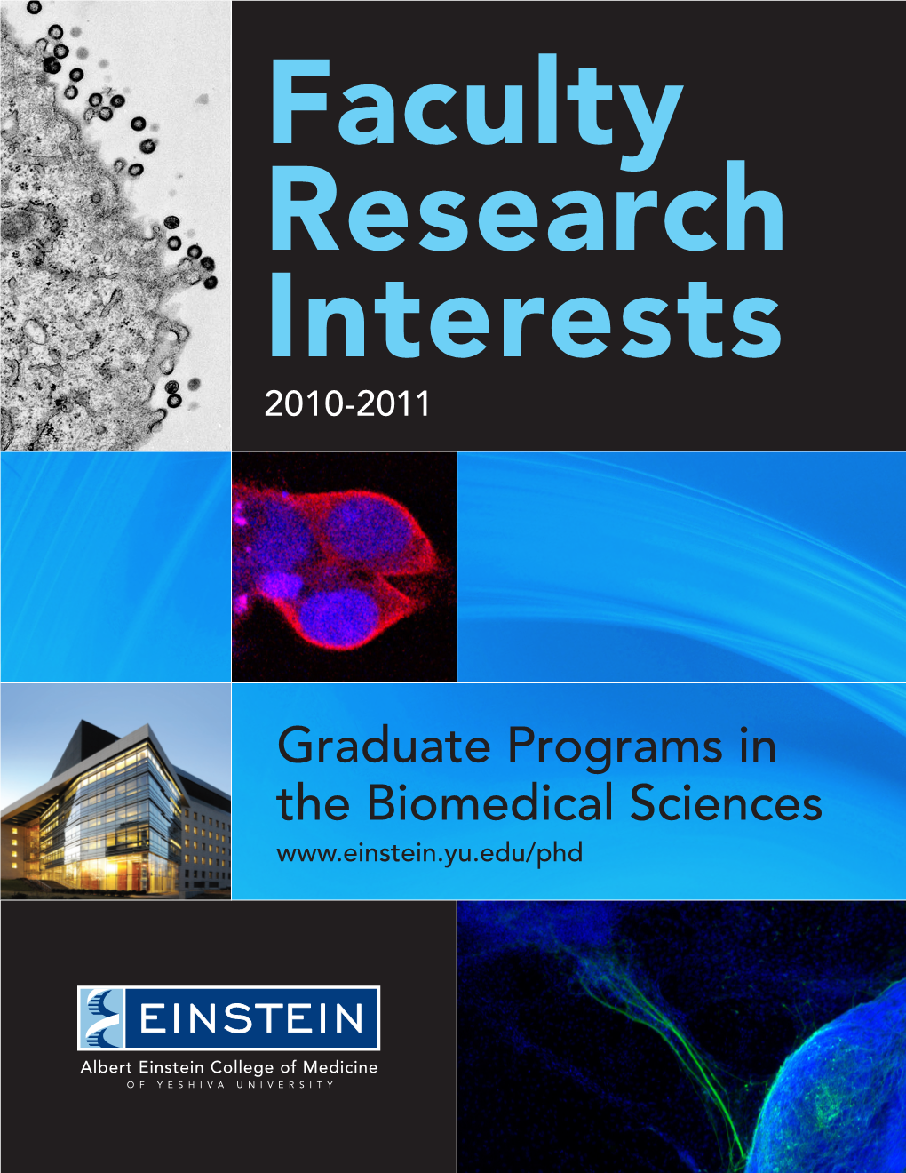 Einstein Programs in Biomedical Sciences