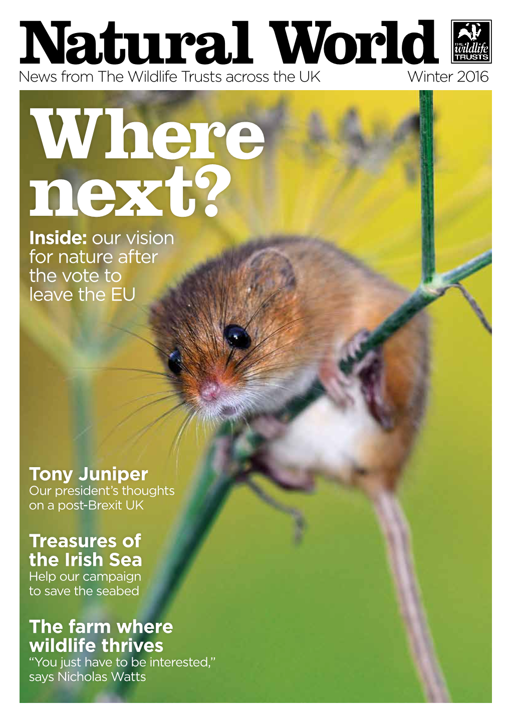 Inside: Our Vision for Nature After the Vote to Leave the EU Tony Juniper Treasures of the Irish Sea the Farm Where Wildlife