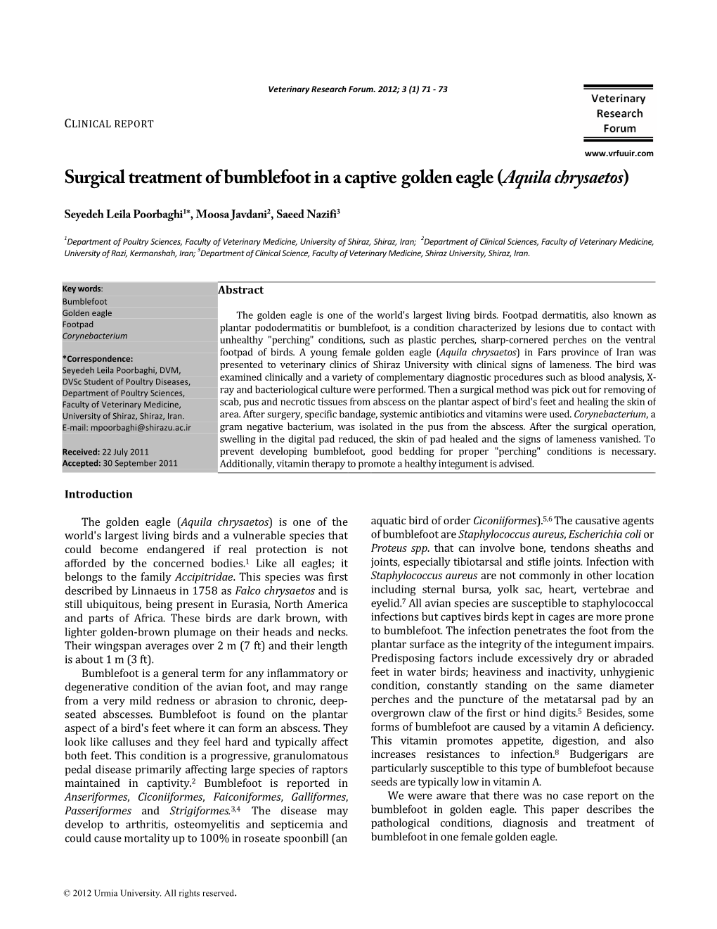 Surgical Treatment of Bumblefoot in a Captive Golden Eagle (Aquila Chrysaetos)