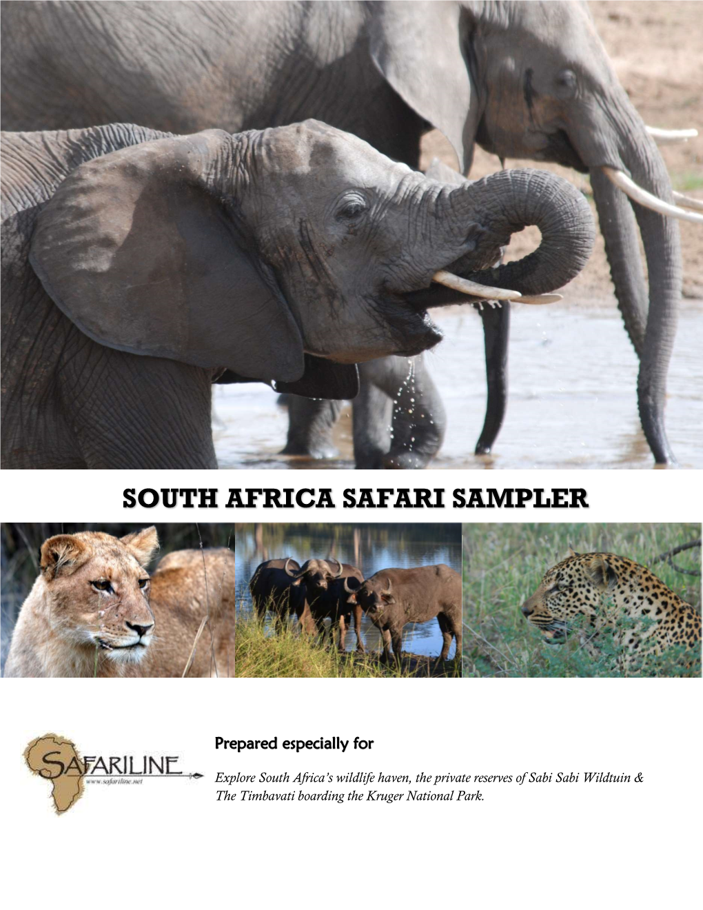 South Africa Safari Sampler