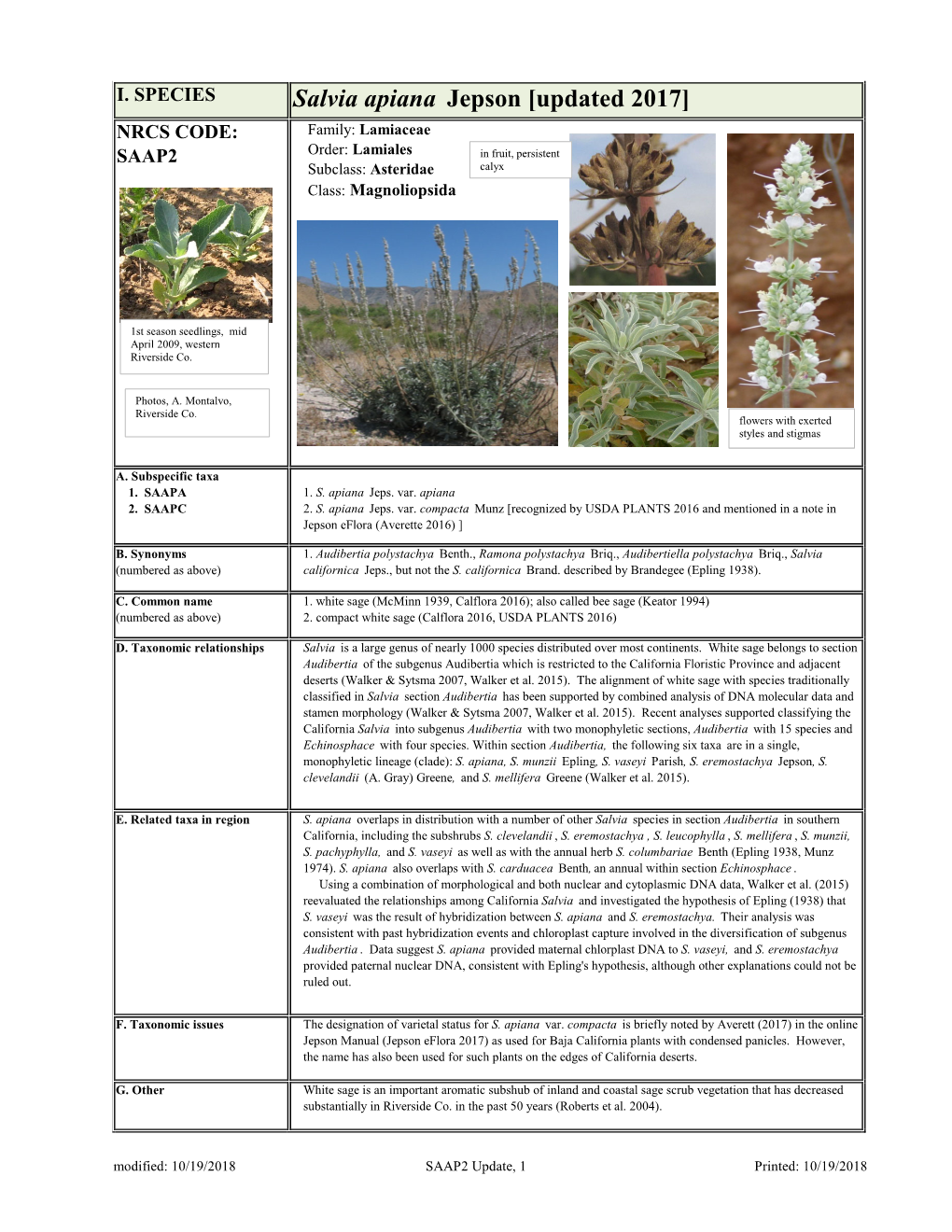 Salvia Apiana Jepson [Updated 2017] NRCS CODE: Family: Lamiaceae SAAP2 Order: Lamiales in Fruit, Persistent Subclass: Asteridae Calyx Class: Magnoliopsida