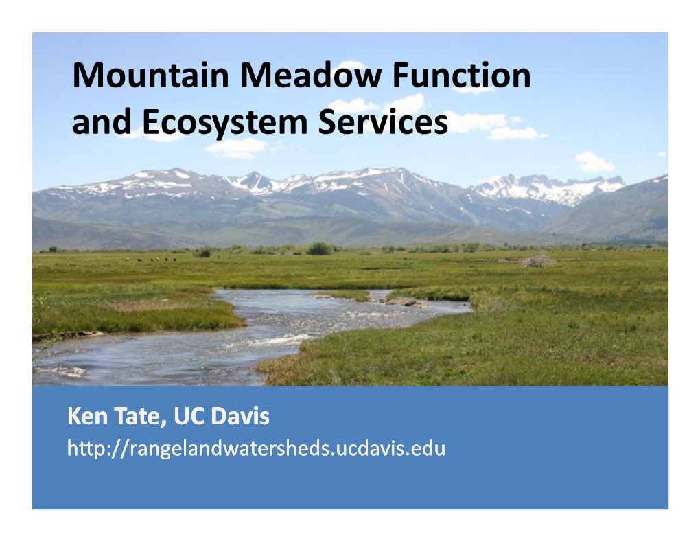 Mountain Meadow Function and Ecosystem Services