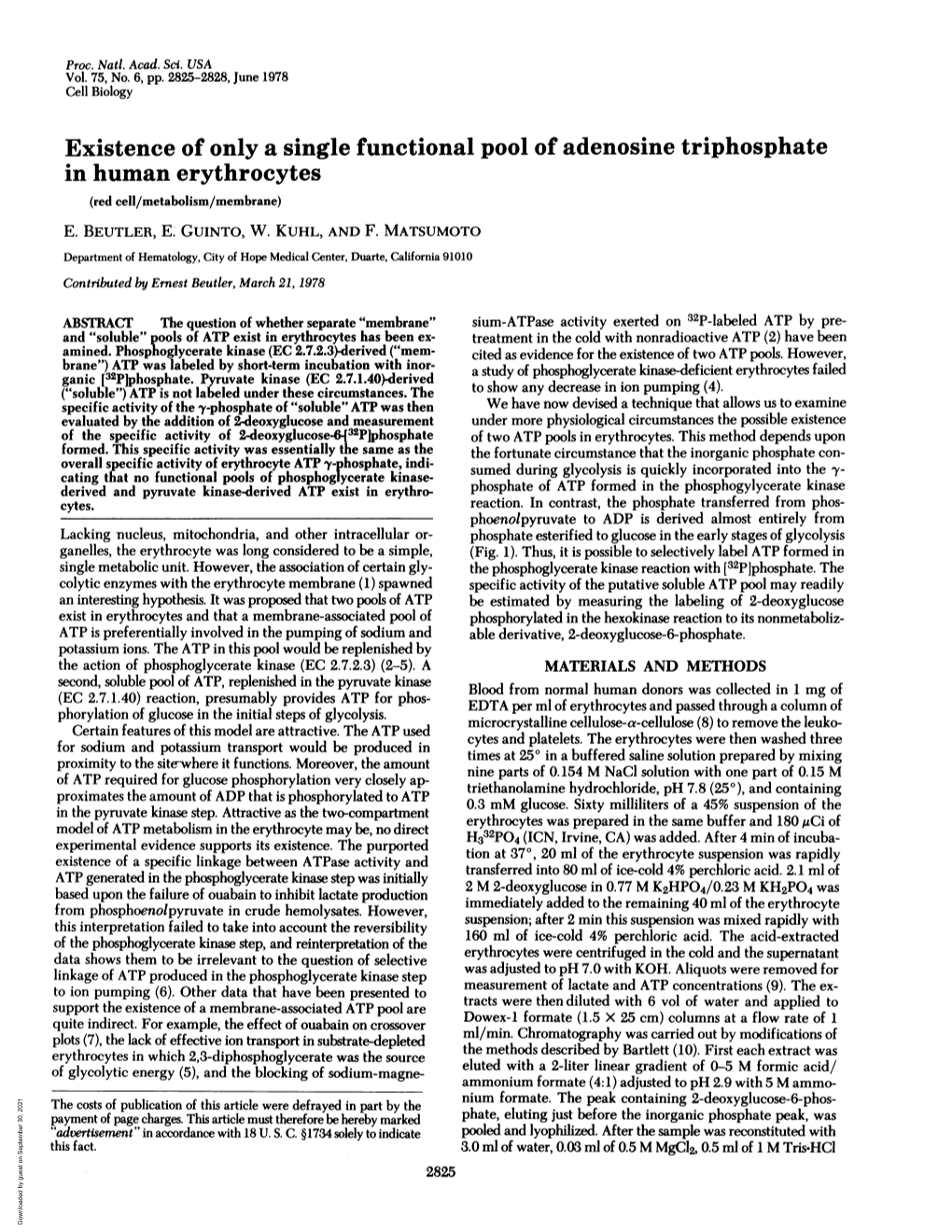 In Human Erythrocytes (Red Cell/Metabolism/Membrane) E