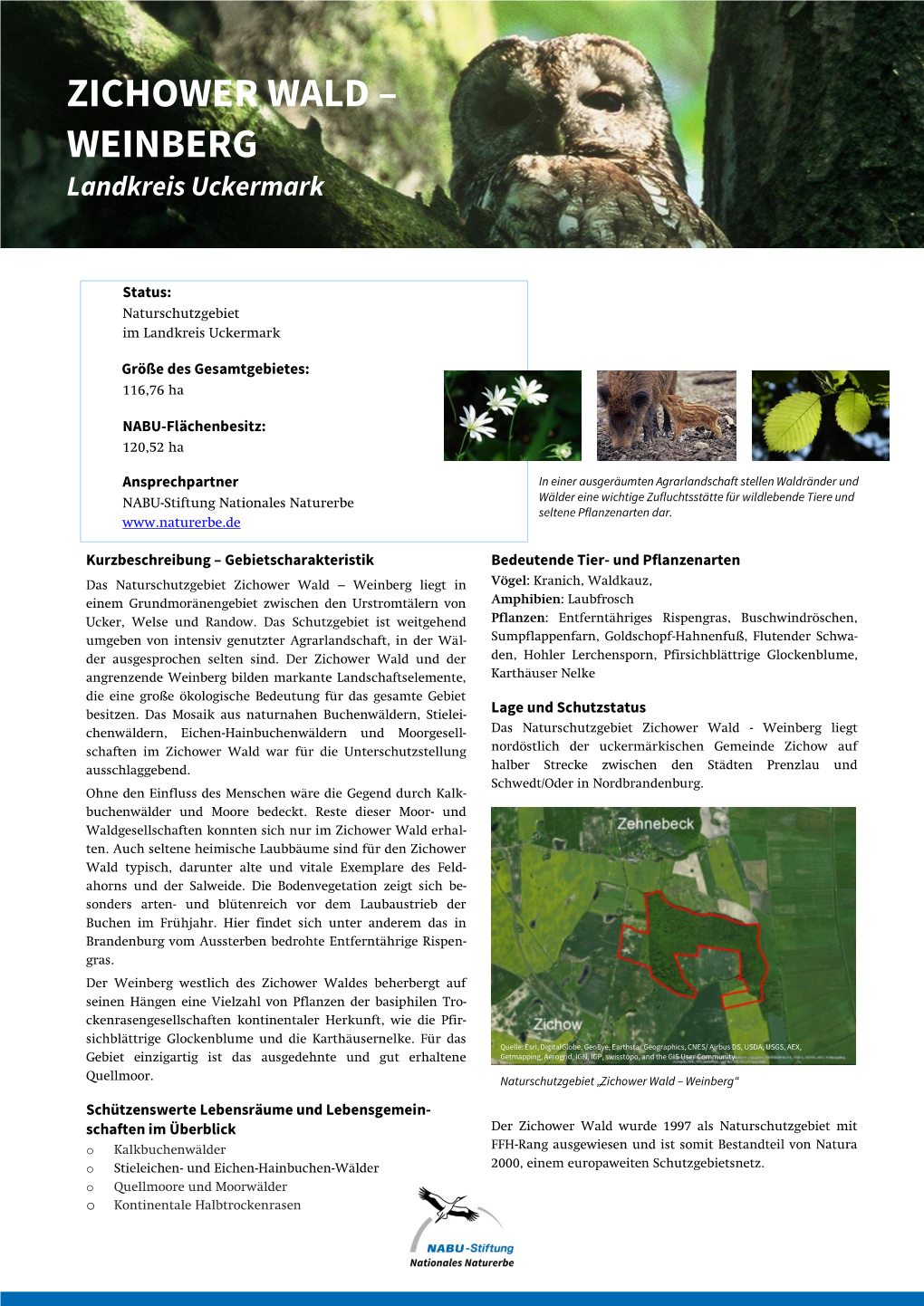 ZICHOWER WALD – WEINBERG Landkreis Uckermark