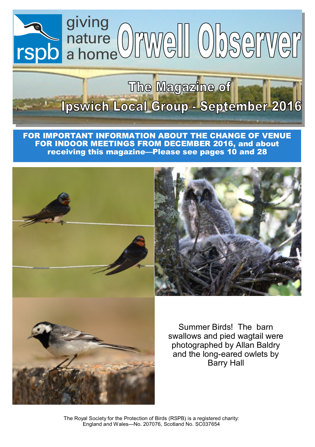 Summer Birds! the Barn Swallows and Pied Wagtail Were Photographed by Allan Baldry and the Long-Eared Owlets by Barry Hall