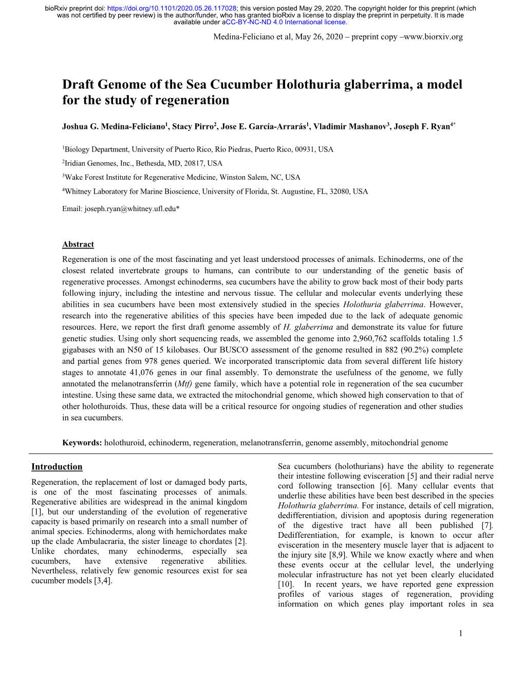 Draft Genome of the Sea Cucumber Holothuria Glaberrima, a Model for the Study of Regeneration