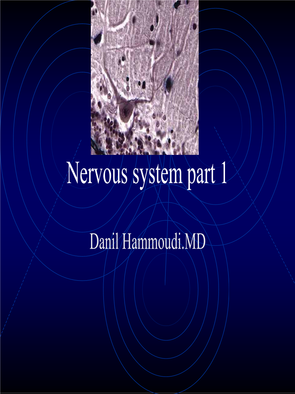 Nervous System Part 1