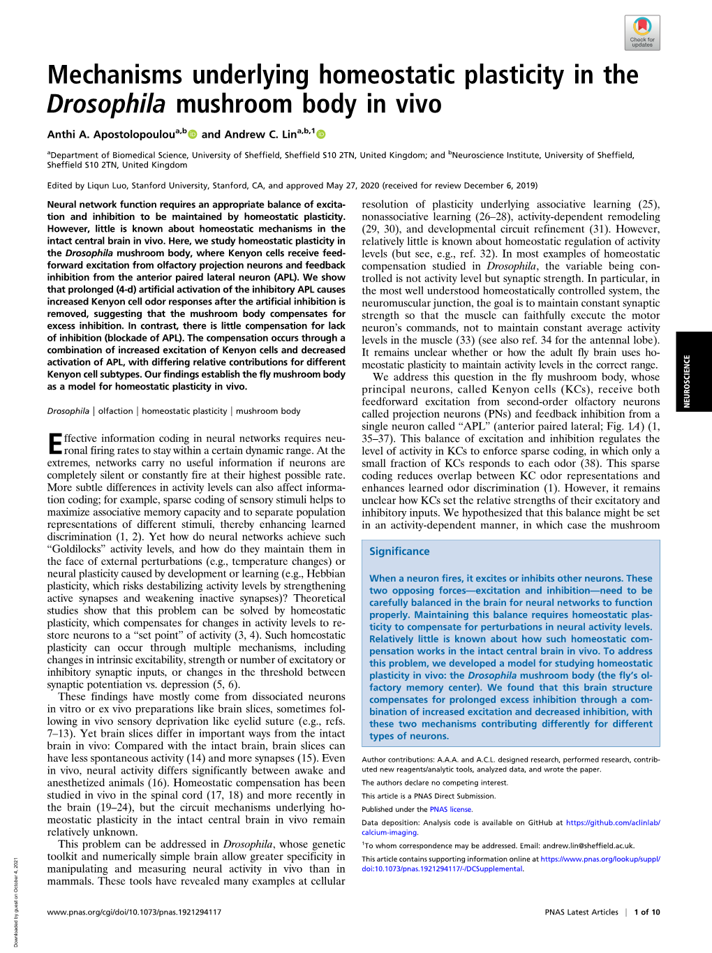 Mechanisms Underlying Homeostatic Plasticity in the Drosophila Mushroom Body in Vivo