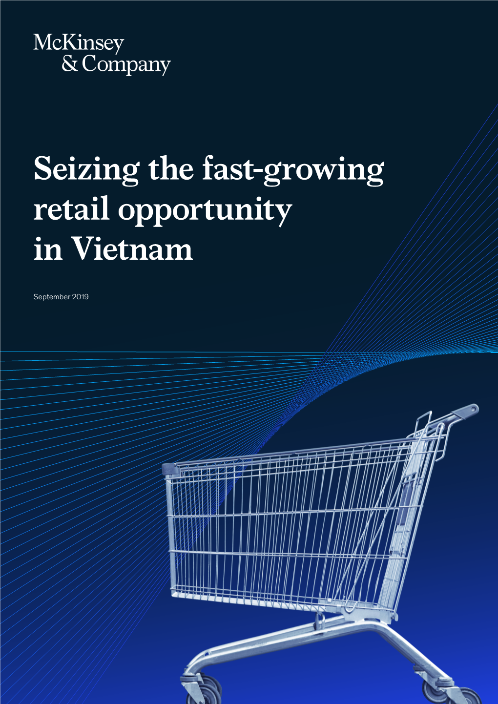 Seizing the Fast-Growing Retail Opportunity in Vietnam