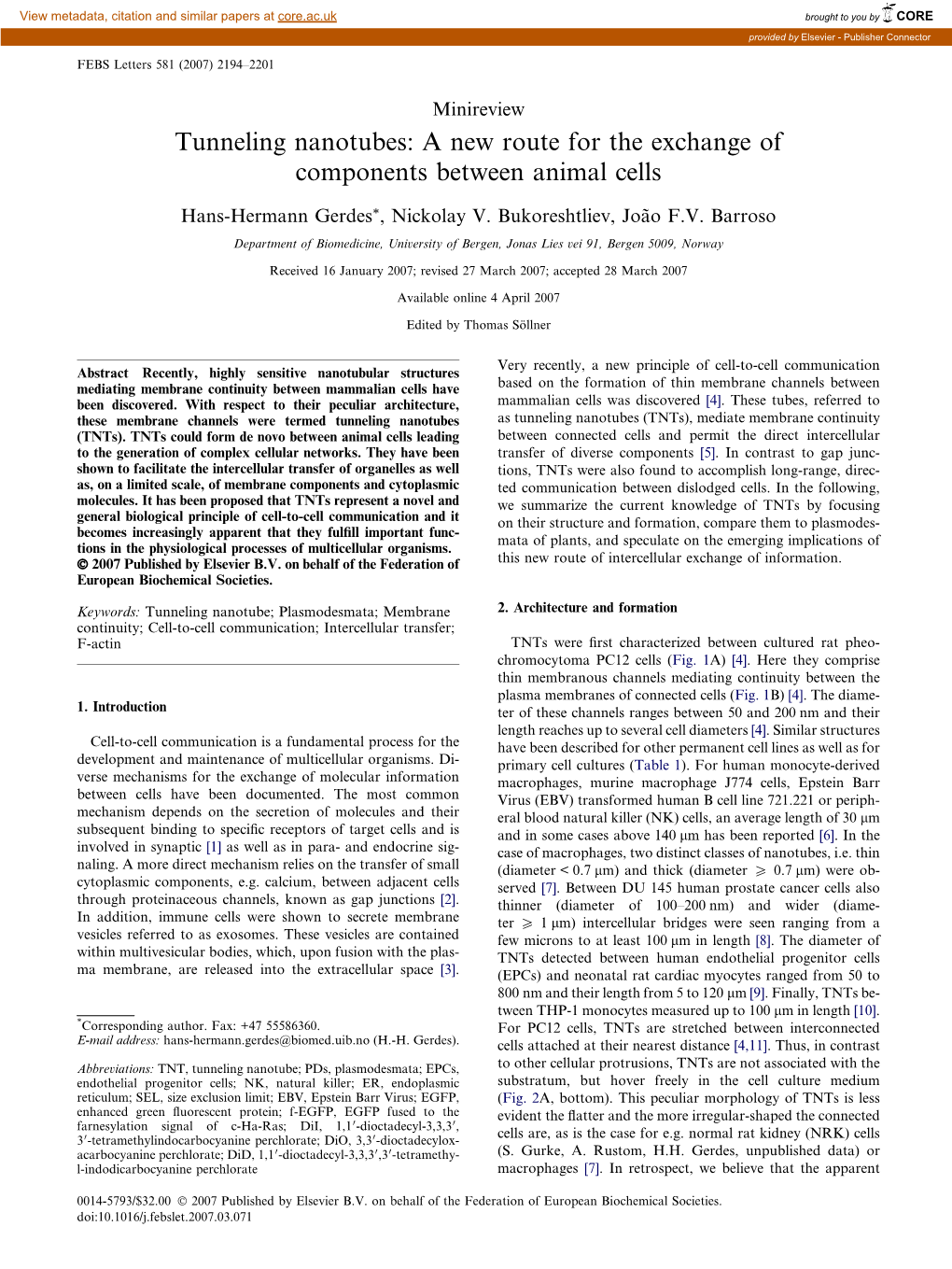 A New Route for the Exchange of Components Between Animal Cells