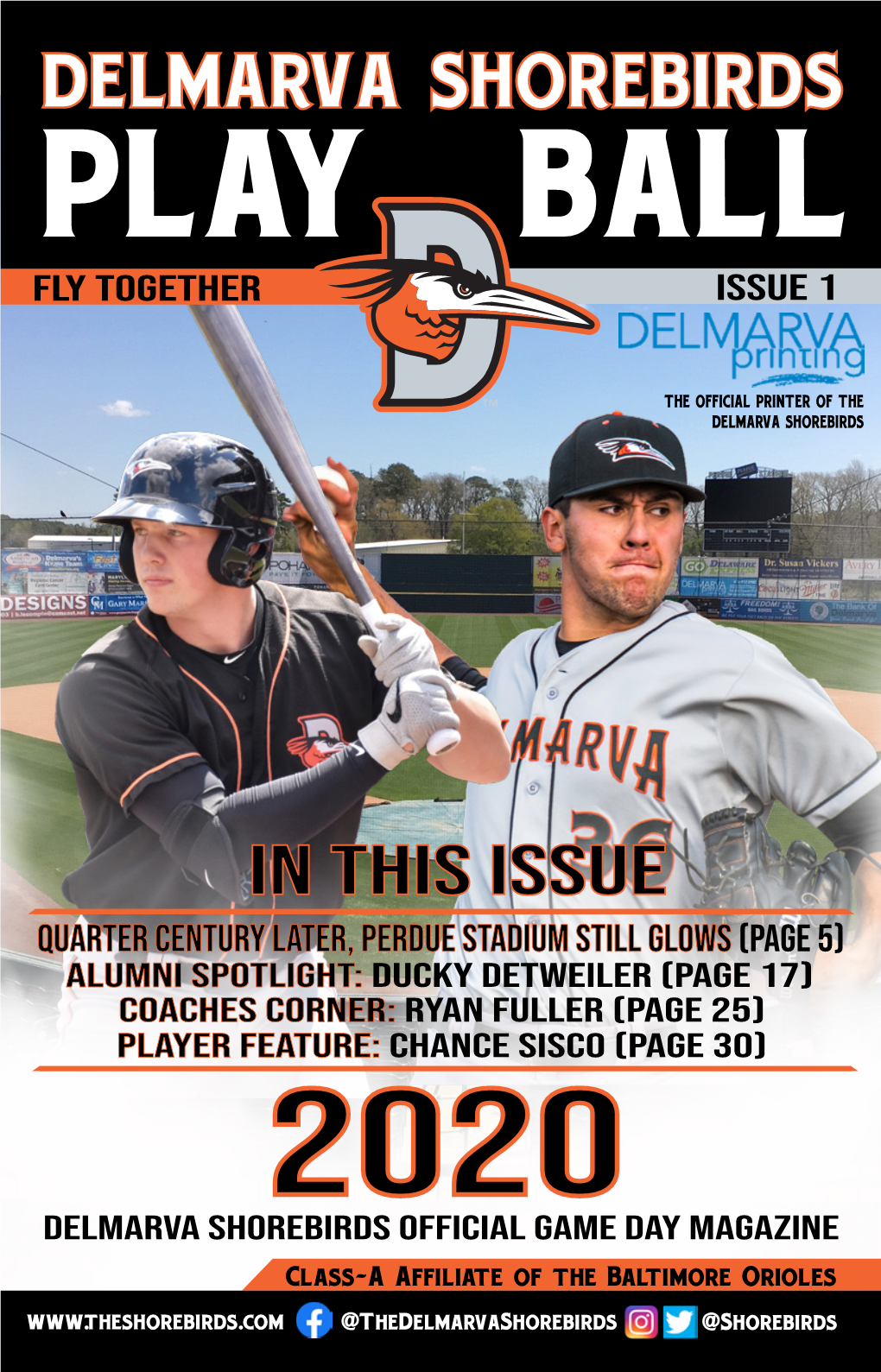 DELMARVA SHOREBIRDS PLAY BALL Fly Together Issue 1