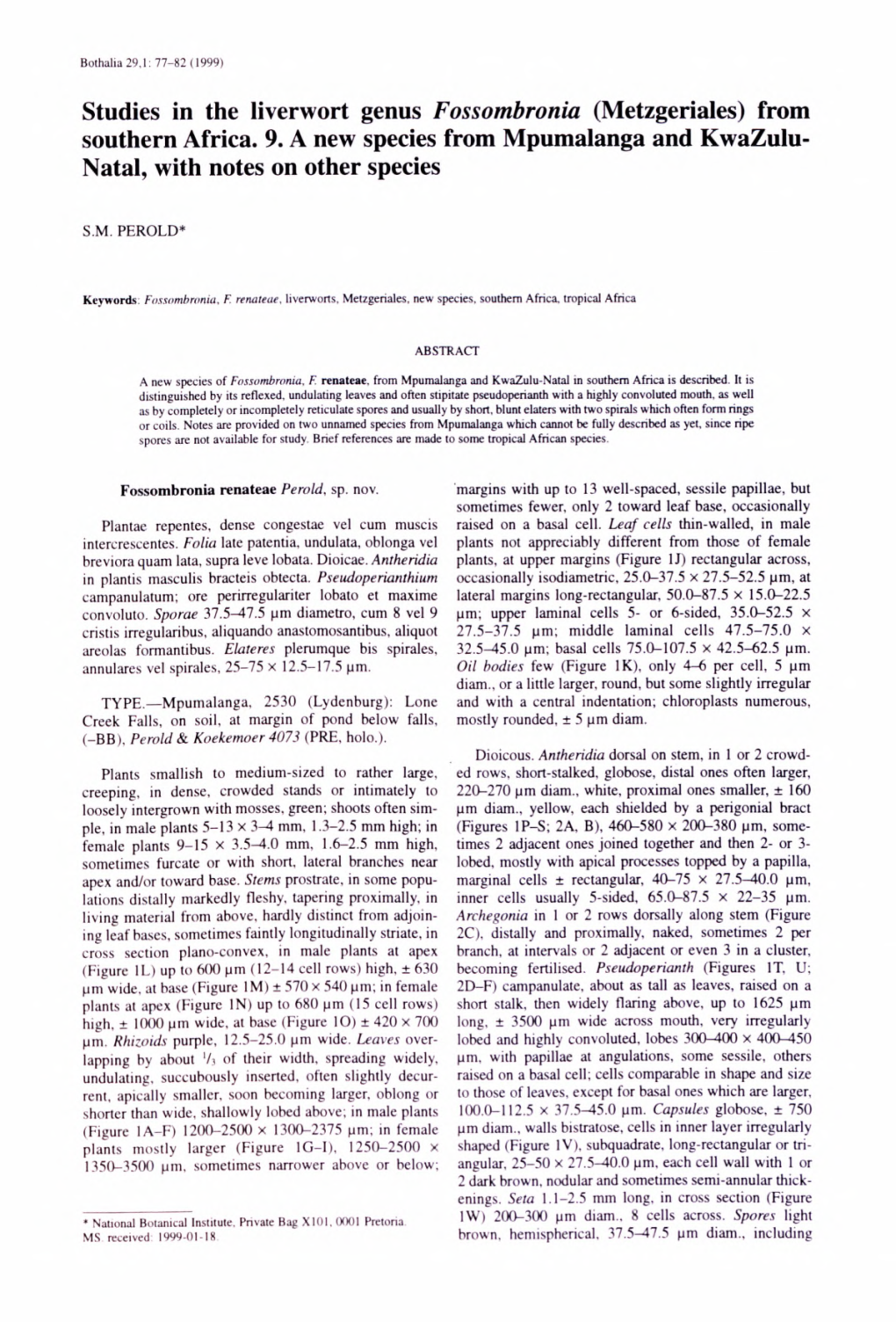 Studies in the Liverwort Genus Fossombronia (Metzgeriales) from Southern Africa