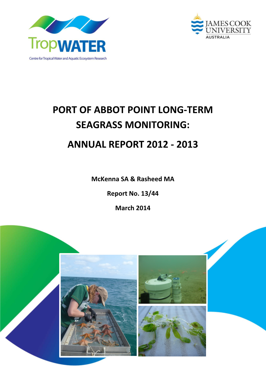 Port of Abbot Point Long-Term Seagrass Monitoring: Annual Report 2012 - 2013