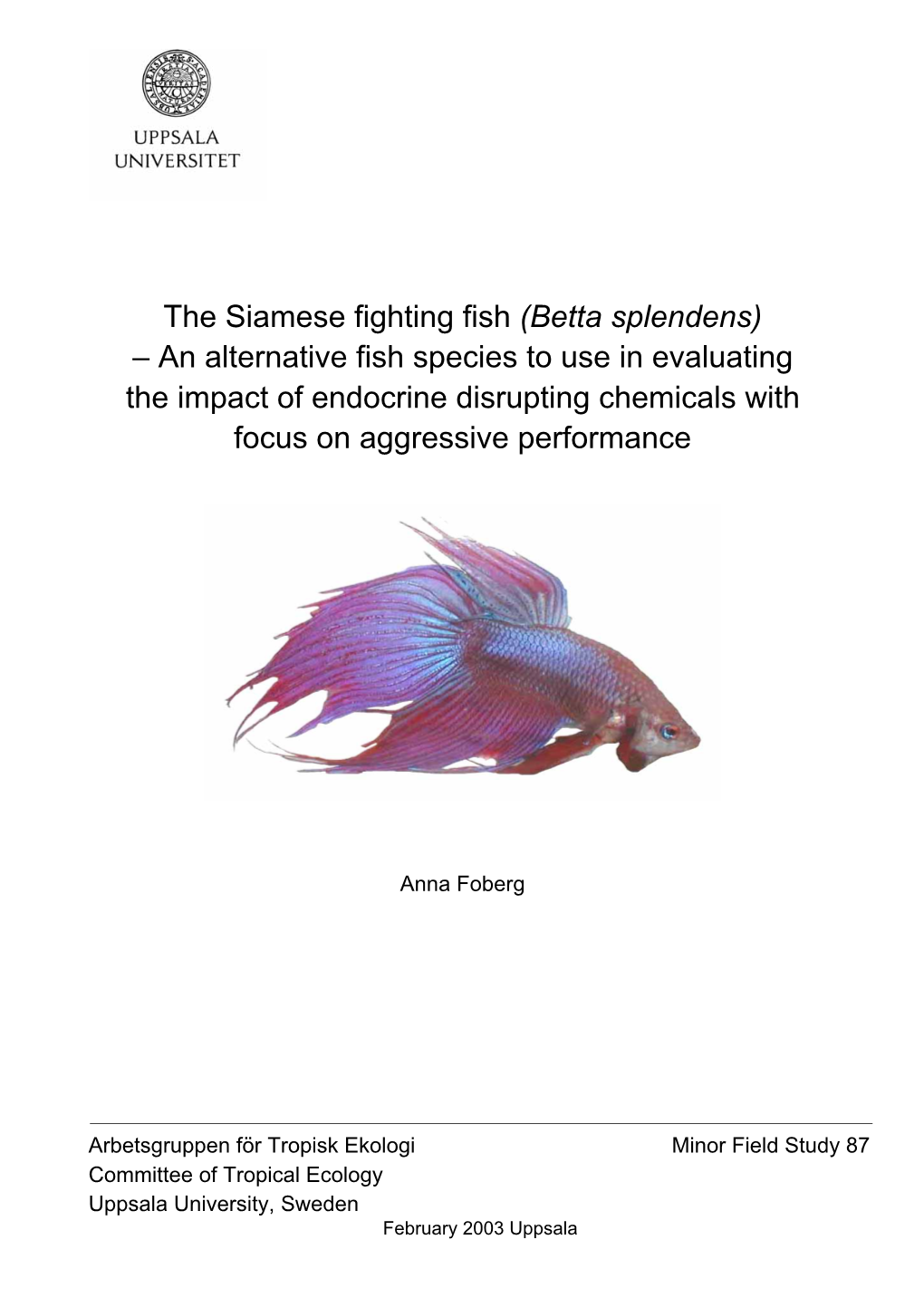 The Siamese Fighting Fish (Betta Splendens)