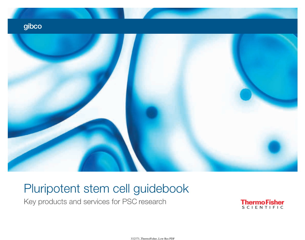 Gibco™ Pluripotent Stem Cell Guidebook