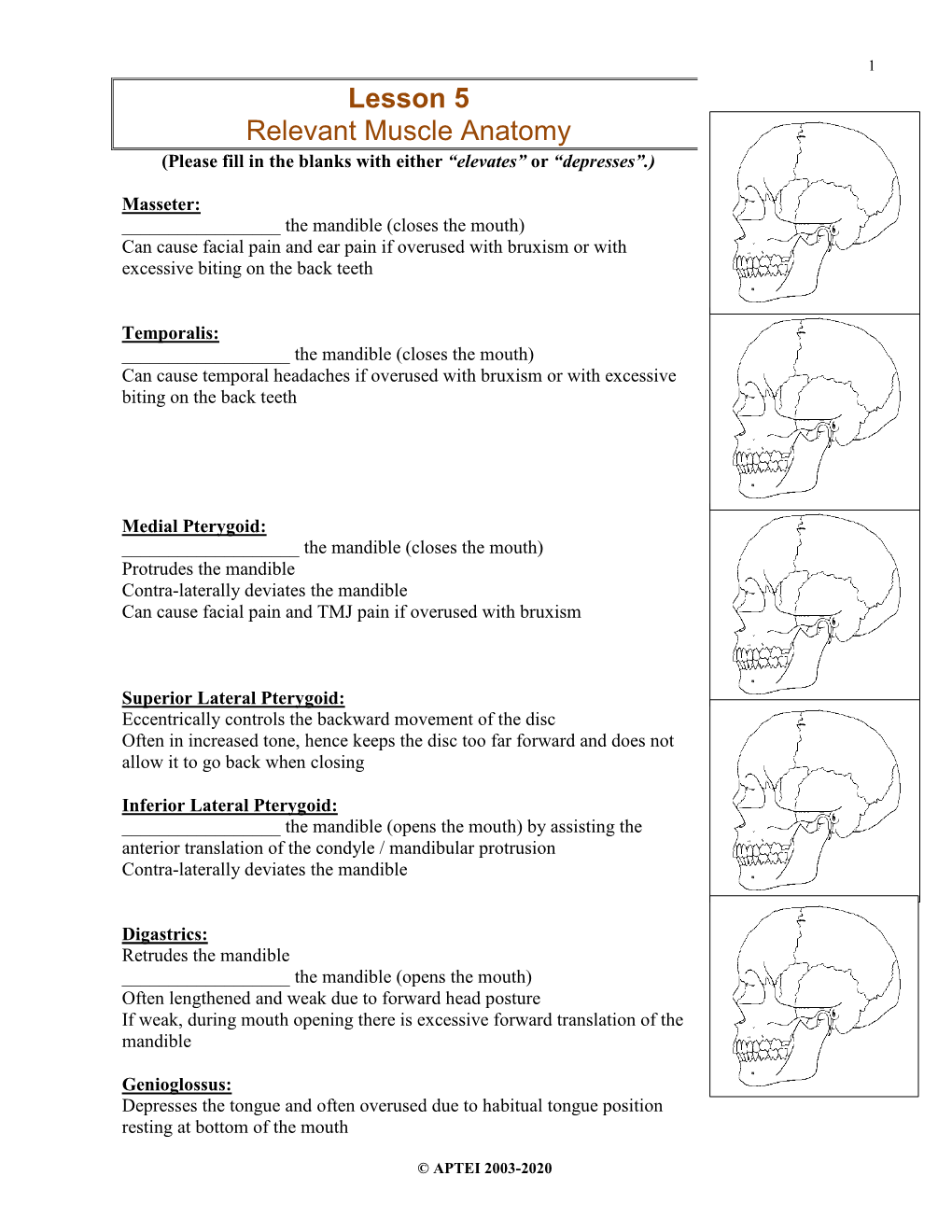 Lesson 5 Relevant Muscle Anatomy (Please Fill in the Blanks with Either “Elevates” Or “Depresses”.)