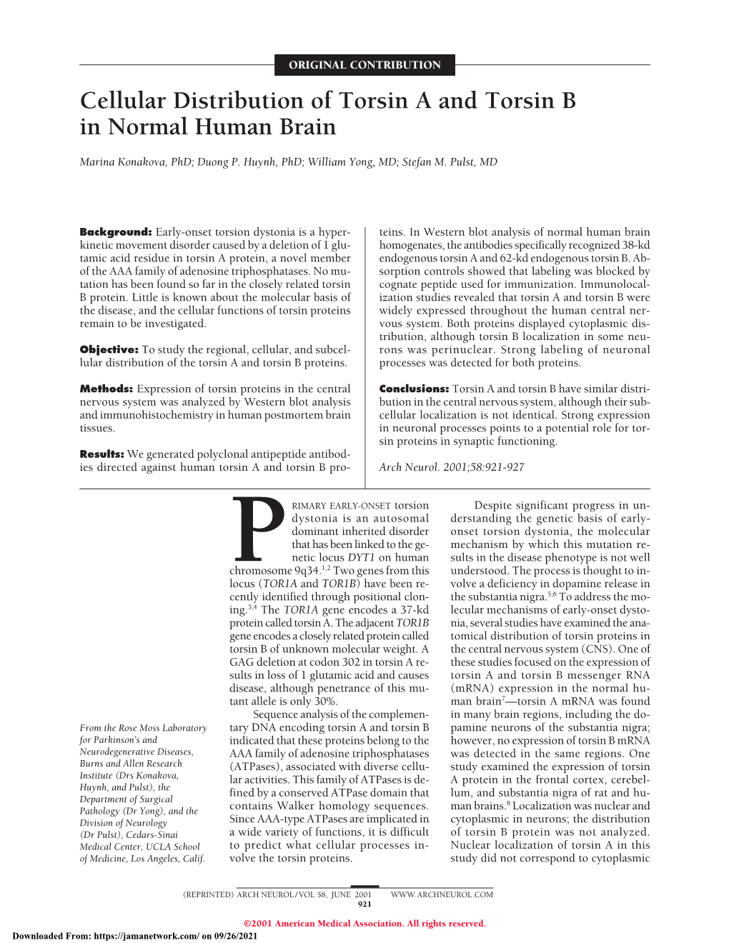 Cellular Distribution of Torsin a and Torsin B in Normal Human Brain