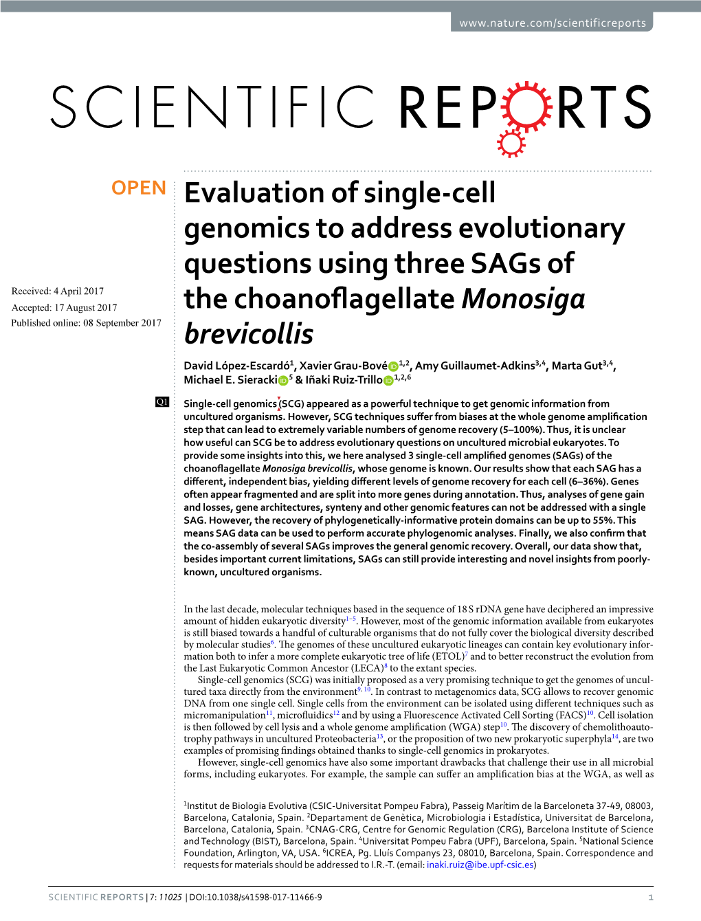 Evaluation of Single-Cell Genomics to Address Evolutionary Questions Using Three Sags of the Choanoflagellate Monosiga Brevicoll