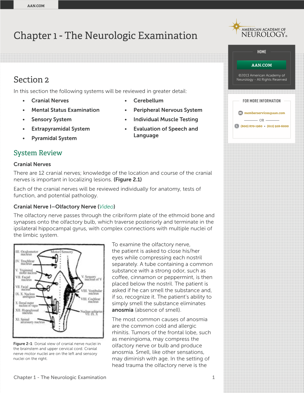 The Neurologic Examination