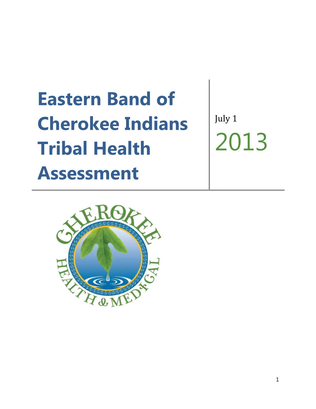Eastern Band of Cherokee Indians Tribal Health Assessment