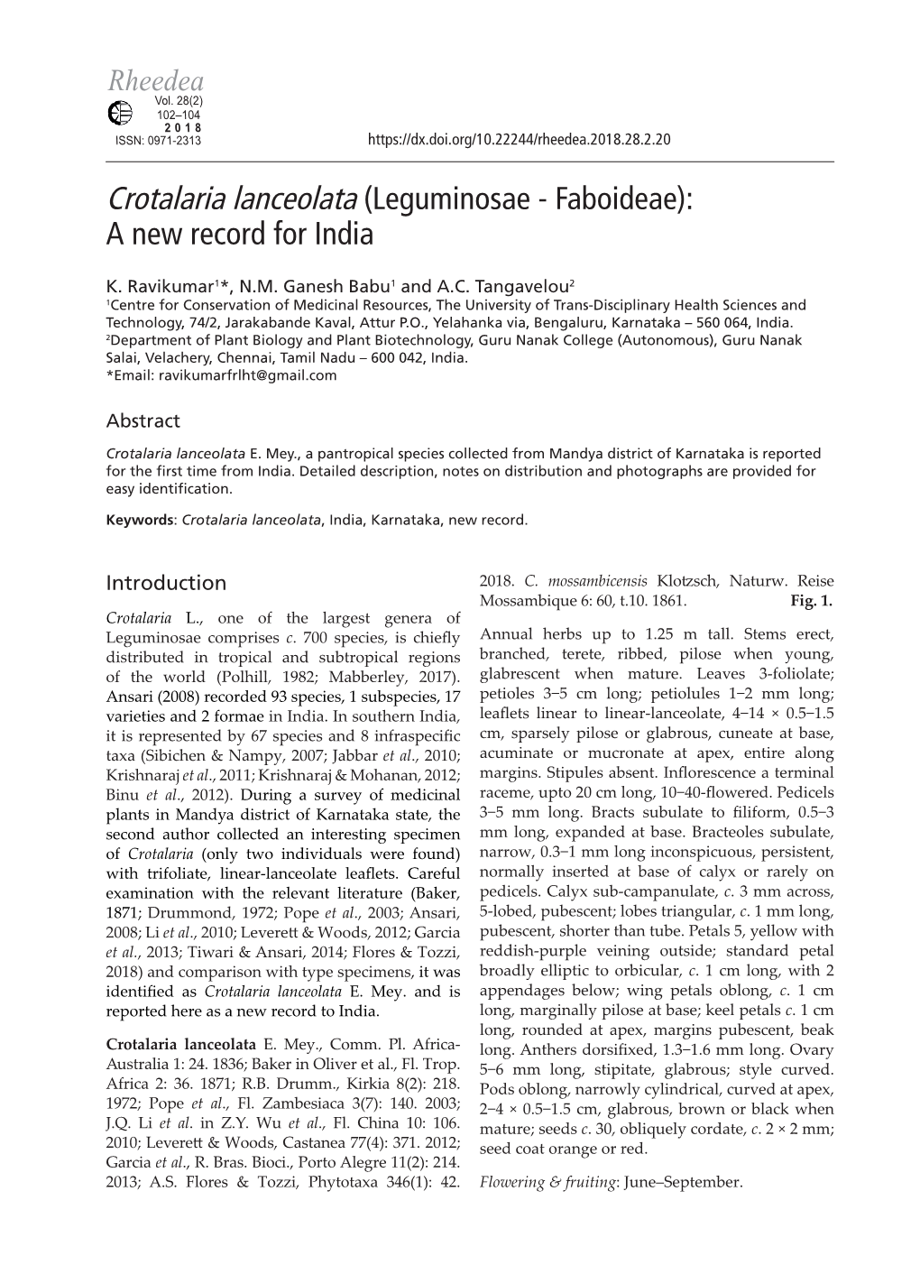 Crotalaria Lanceolata (Leguminosae - Faboideae): a New Record for India