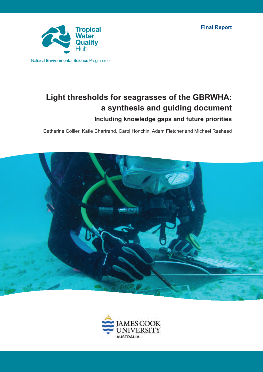 Light Thresholds for Seagrasses of the GBRWHA: a Synthesis and Guiding Document Including Knowledge Gaps and Future Priorities