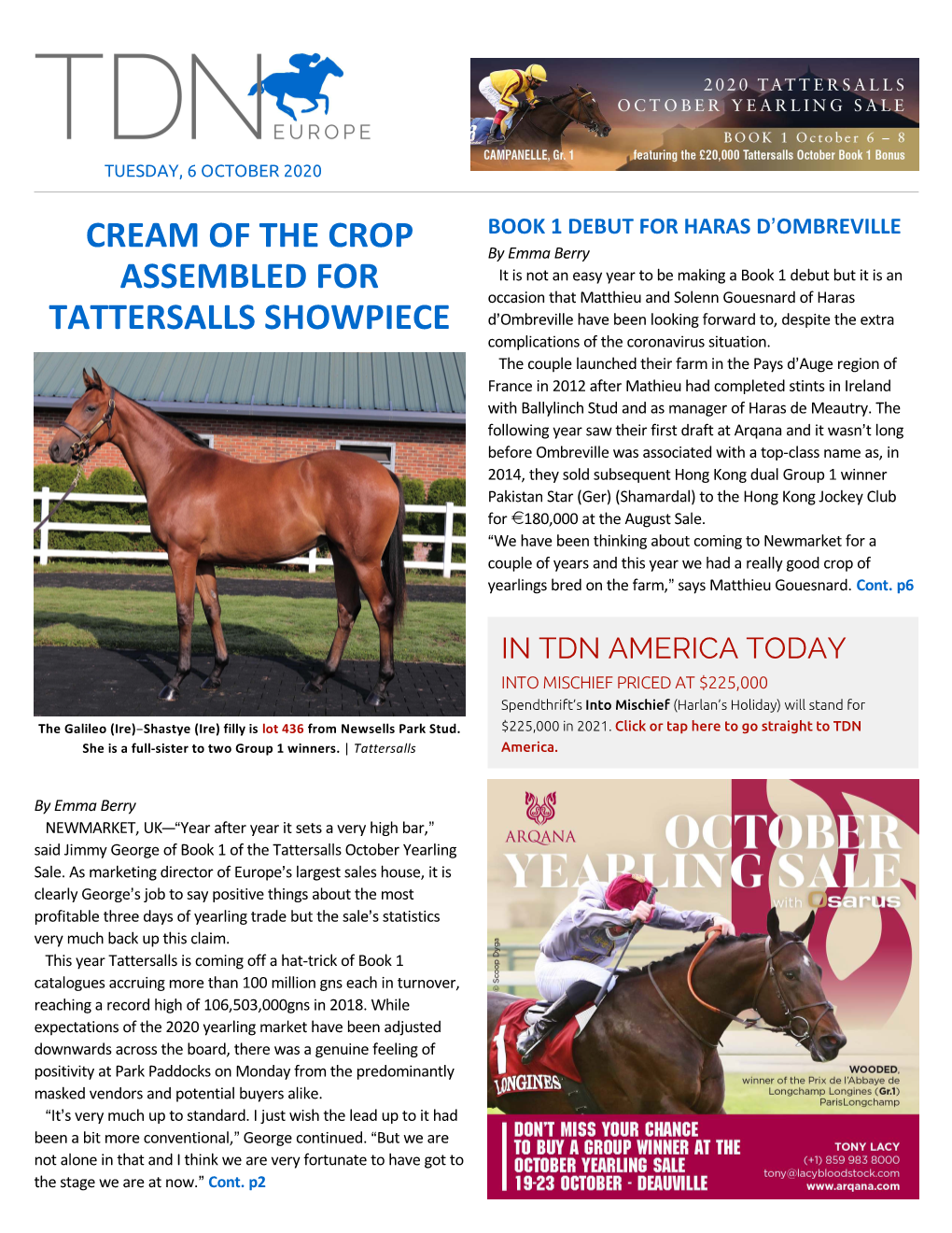 Cream of the Crop Assembled for Tattersalls Showpiece