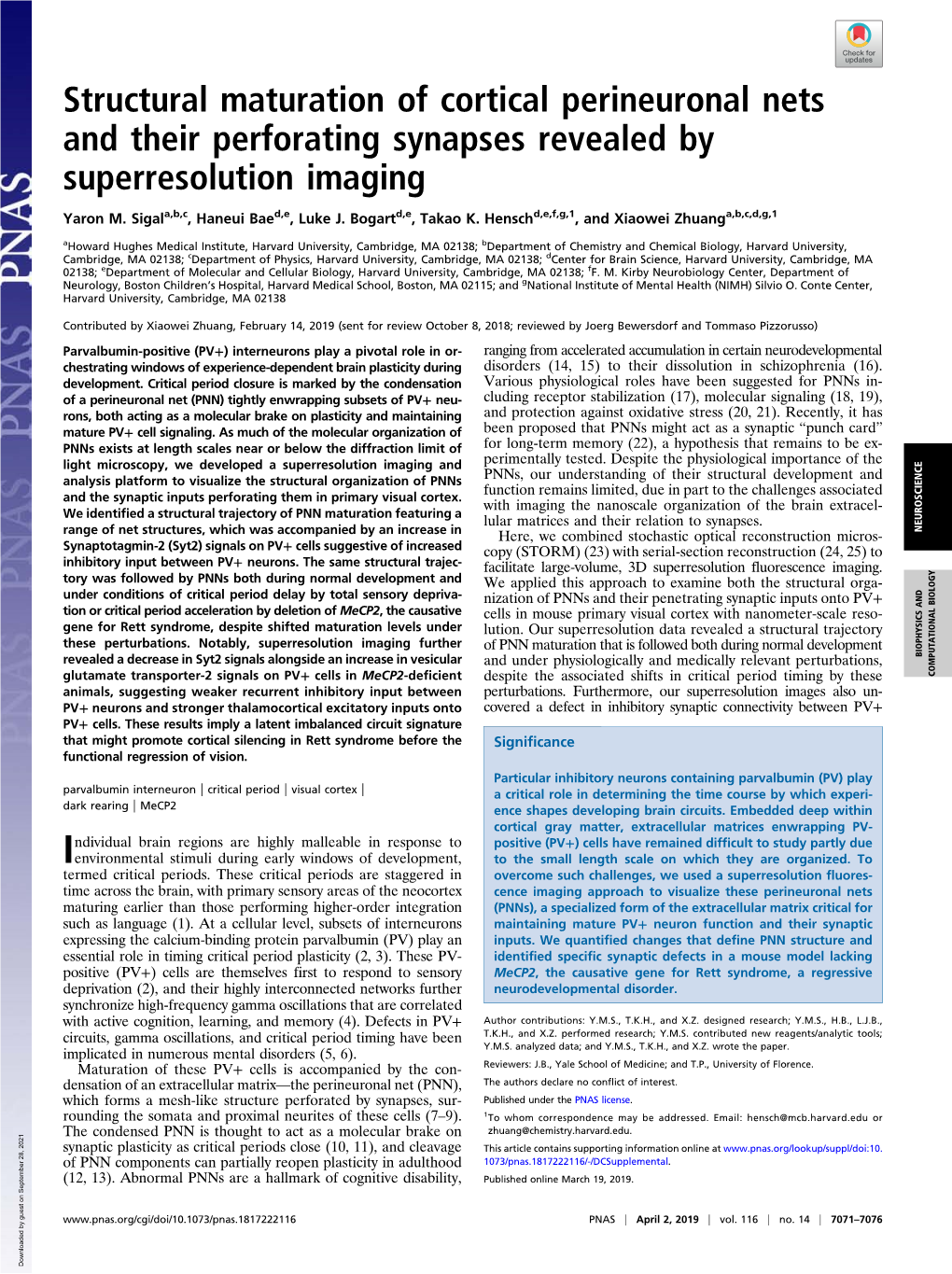 Structural Maturation of Cortical Perineuronal Nets and Their Perforating Synapses Revealed by Superresolution Imaging