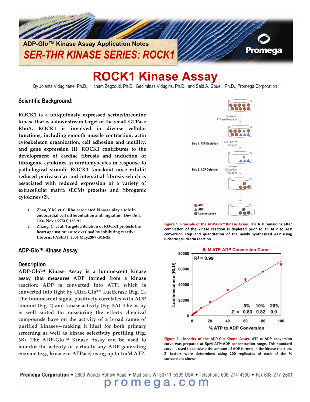 ROCK1 Kinase Assay by Jolanta Vidugiriene, Ph.D., Hicham Zegzouti, Ph.D., Gediminas Vidugiris, Ph.D., and Said A