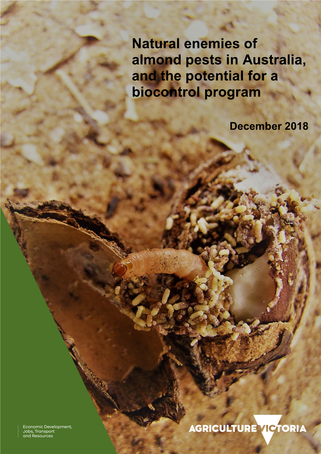 Natural Enemies of Almond Pests in Australia, and the Potential for a Biocontrol Program