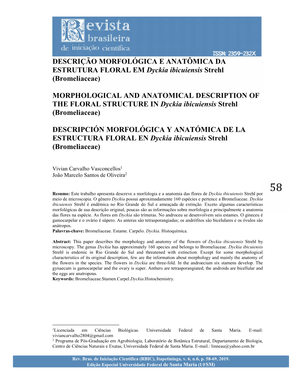 (Bromeliaceae) MORPHOLOGICAL and ANATOMIC