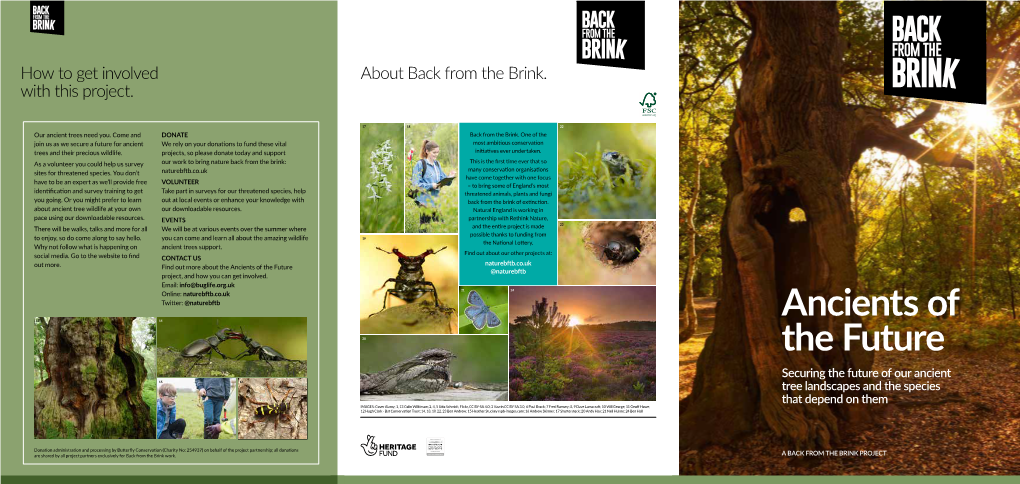 Ancients of the Future @Naturebftb Project, and How You Can Get Involved