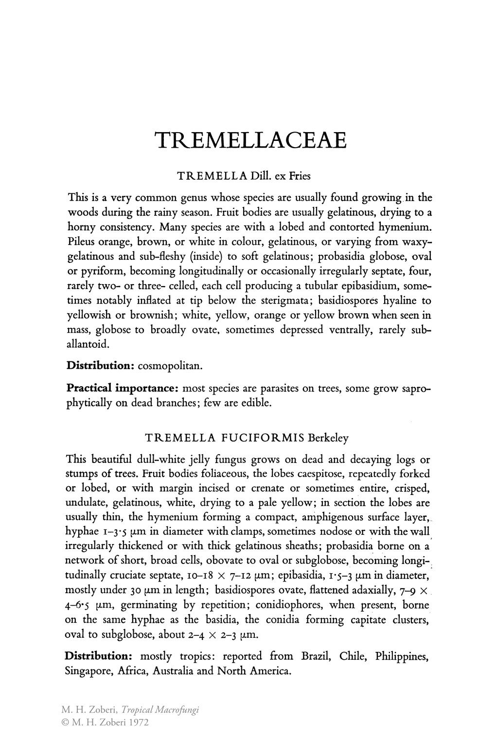 Tremellaceae