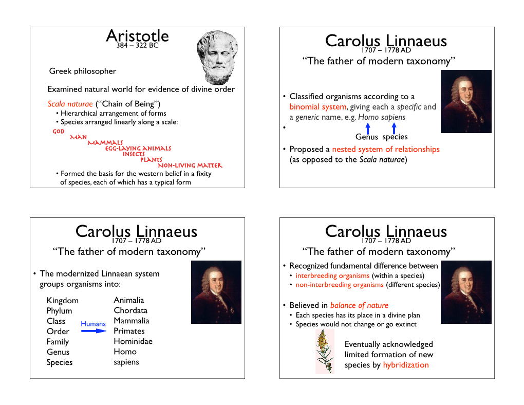 Carolus Linnaeus 1707 – 1778 AD “The Father of Modern Taxonomy” Greek Philosopher