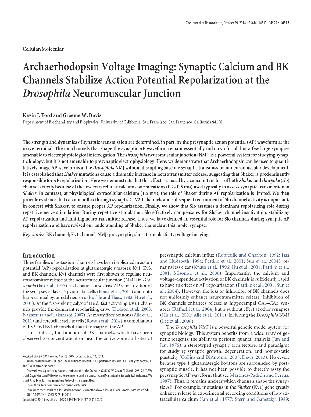 Archaerhodopsin Voltage Imaging: Synaptic Calcium and BK Channels Stabilize Action Potential Repolarization at the Drosophilaneu