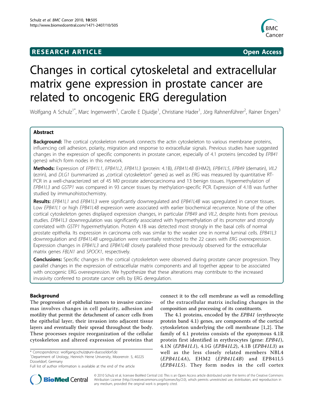 Changes in Cortical Cytoskeletal and Extracellular Matrix Gene