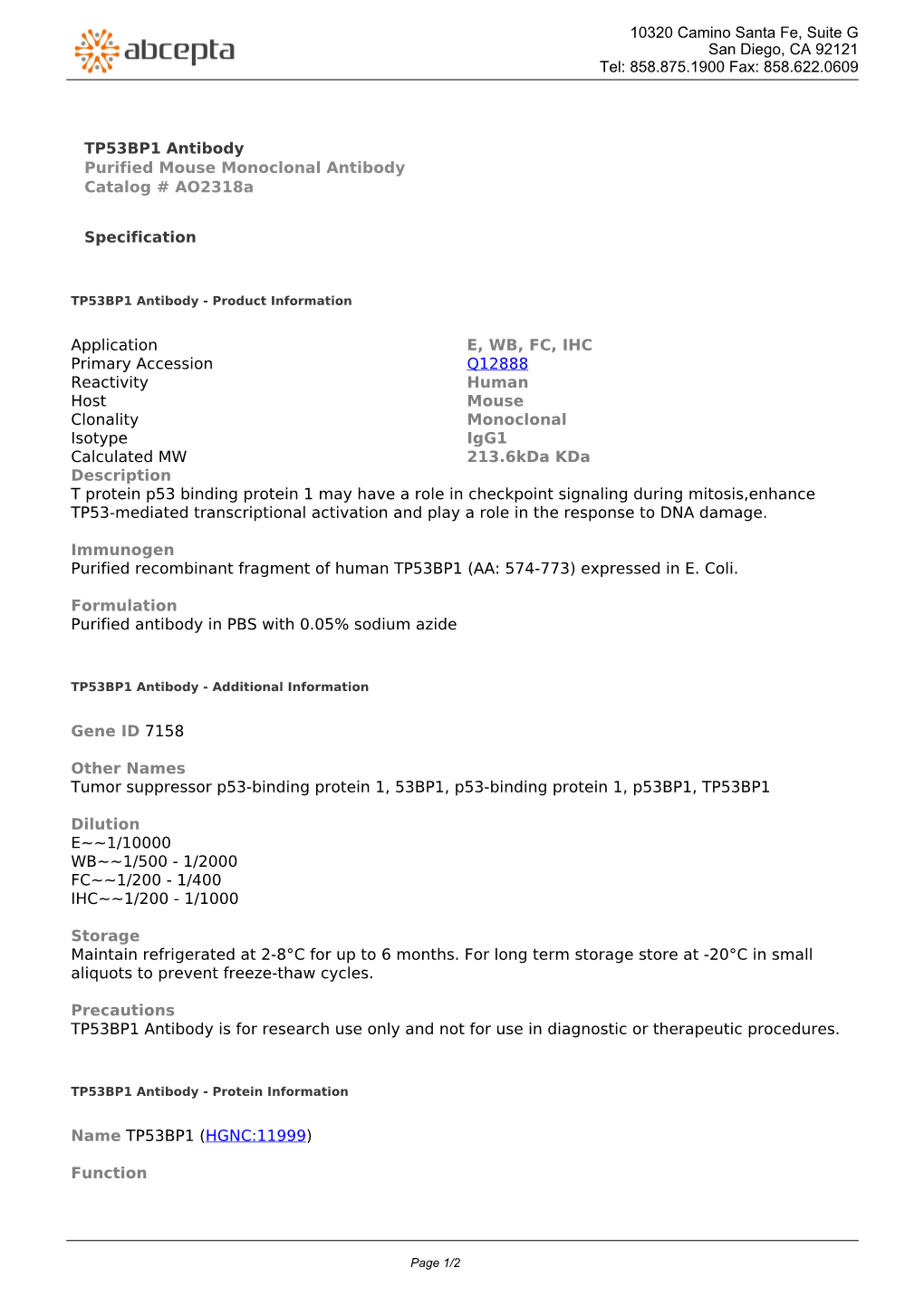 TP53BP1 Antibody Purified Mouse Monoclonal Antibody Catalog # Ao2318a