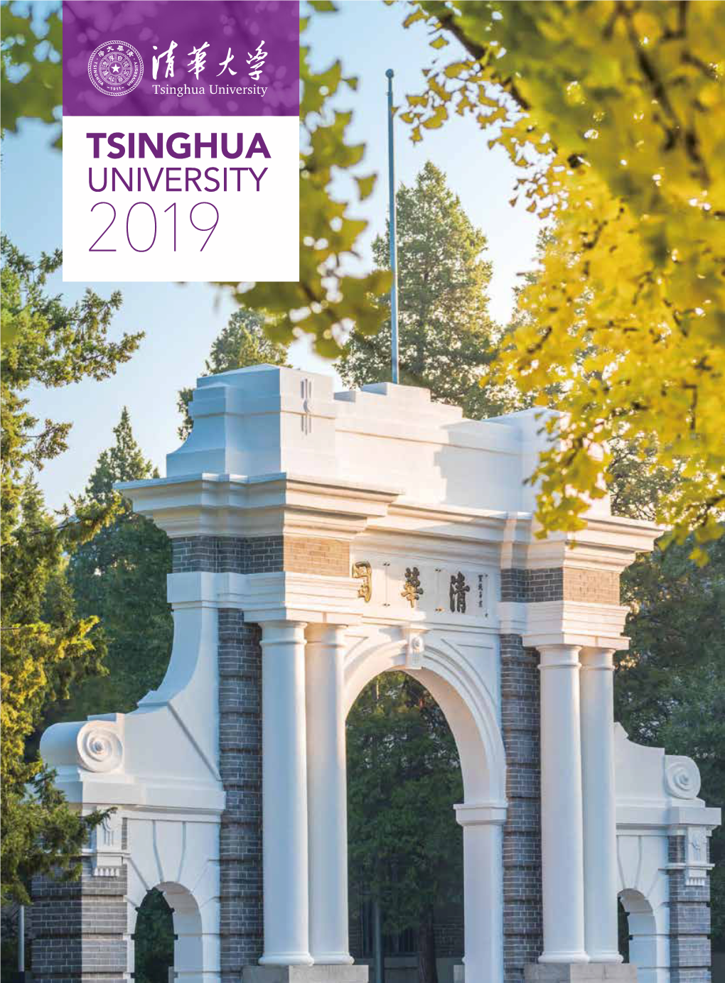 Tsinghua University 2019