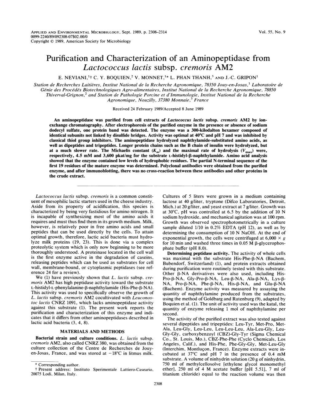 Purification and Characterization of an Aminopeptidase from Lactococcus Lactis Subsp