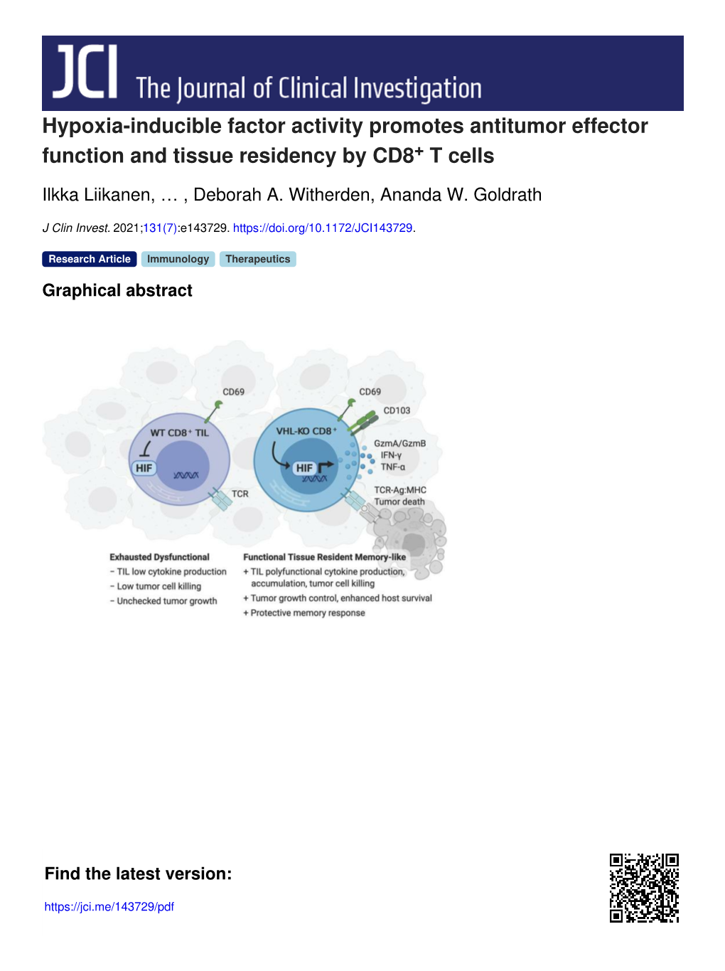 Hypoxia-Inducible Factor Activity Promotes Antitumor Effector Function and Tissue Residency by CD8+ T Cells
