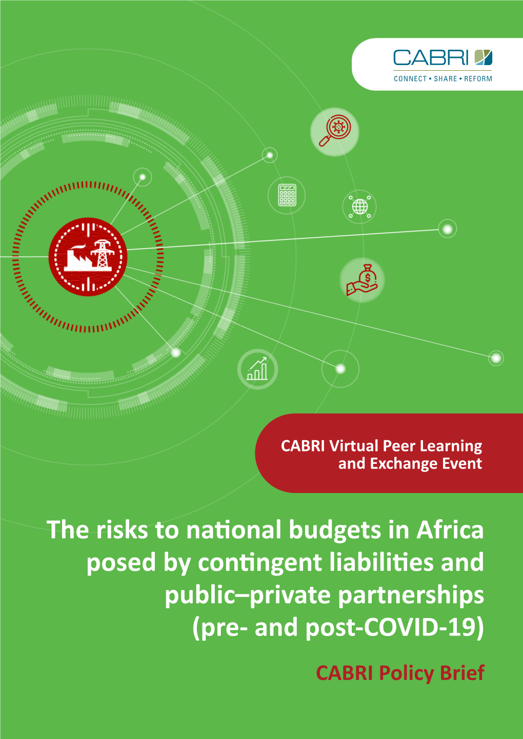 The Risks to National Budgets in Africa Posed by Contingent Liabilities and Public–Private Partnerships (Pre- and Post-COVID-19) CABRI Policy Brief Contents