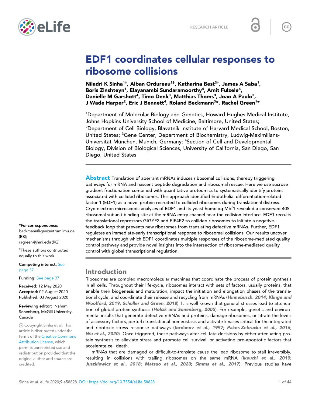EDF1 Coordinates Cellular Responses to Ribosome Collisions