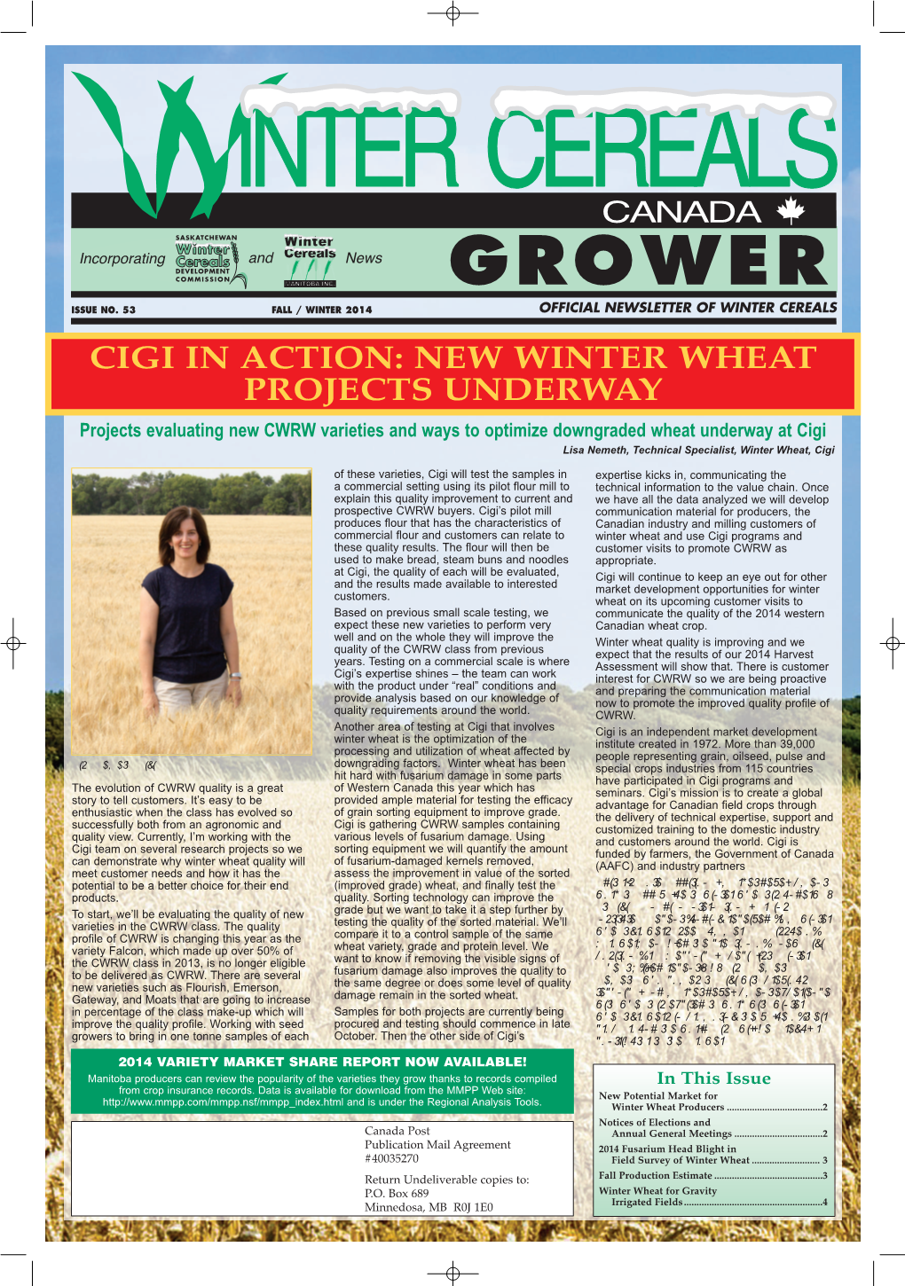 Cigi in Action: New Winter Wheat Projects Underway