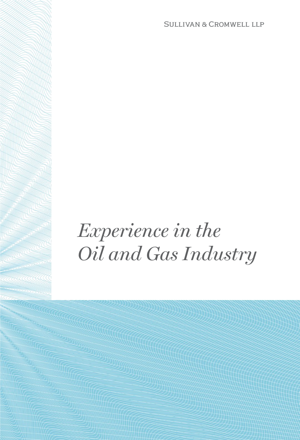 Experience in the Oil and Gas Industry