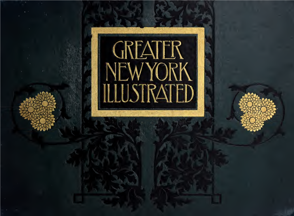 Greater New York Illustrated