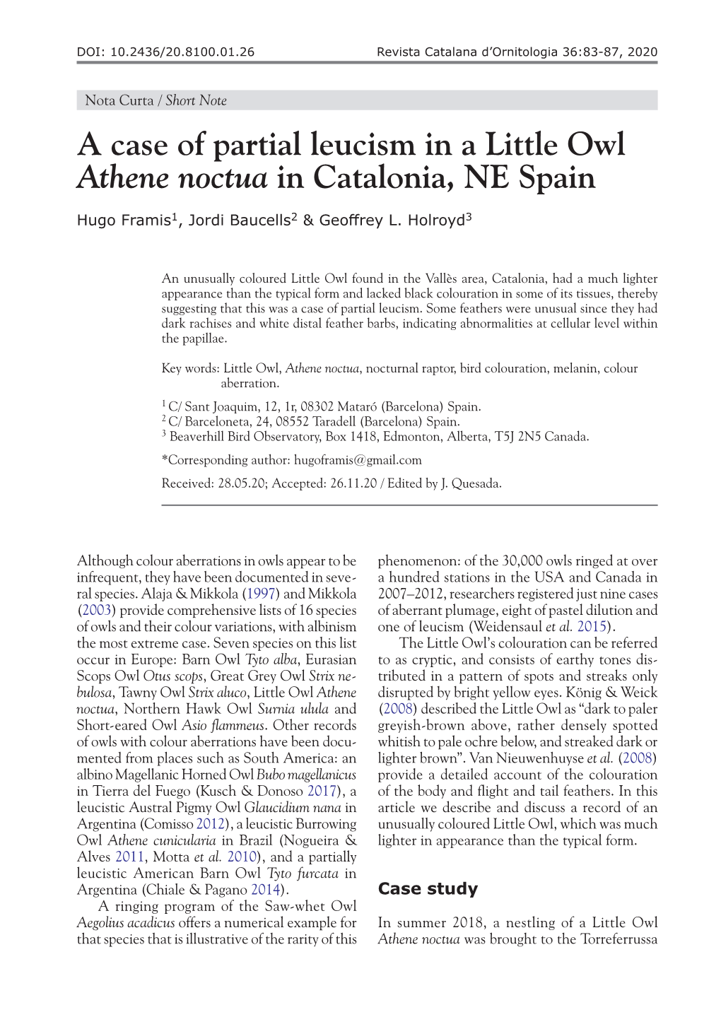 A Case of Partial Leucism in a Little Owl Athene Noctua in Catalonia, NE Spain